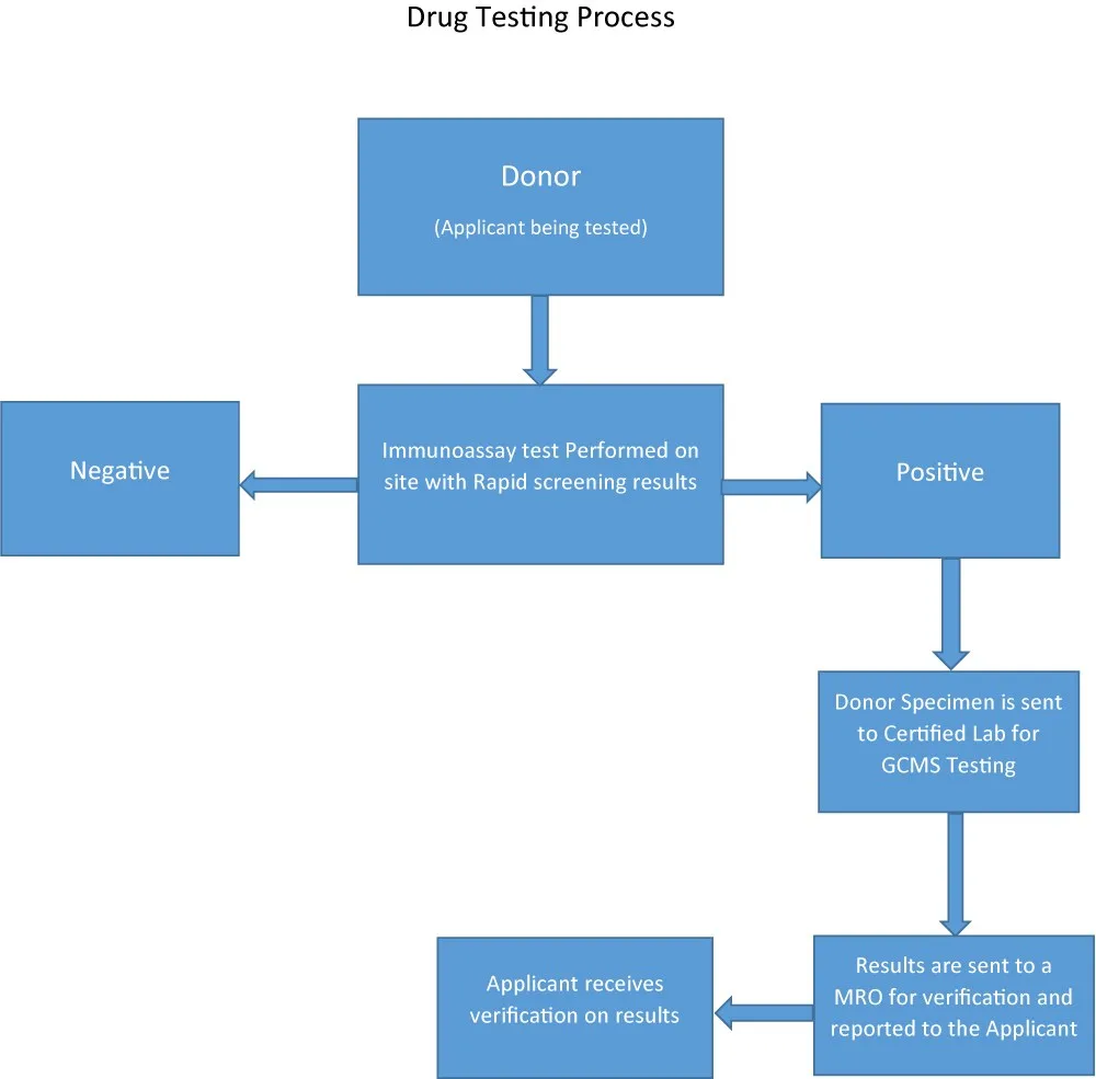 Flowchart depicting steps in sarms testing protocol: donor test, rapid screening, results negative or positive, lab testing if