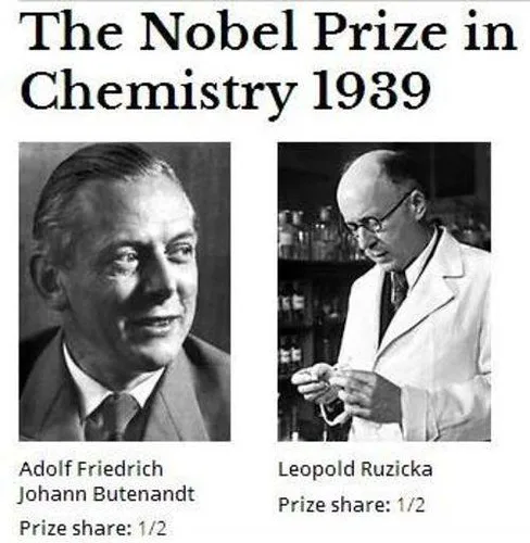 Nobel Prize in Chemistry 1939 recipients; Adolf Butenandt, Leopold Ruzicka, shared award equally.